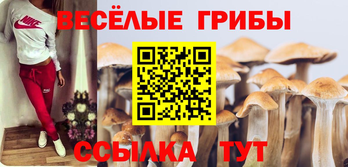 Псилоцибиновые грибы прущие грибы  Галлюциногенные грибы прущие грибы  Вход с VPN  Асино 