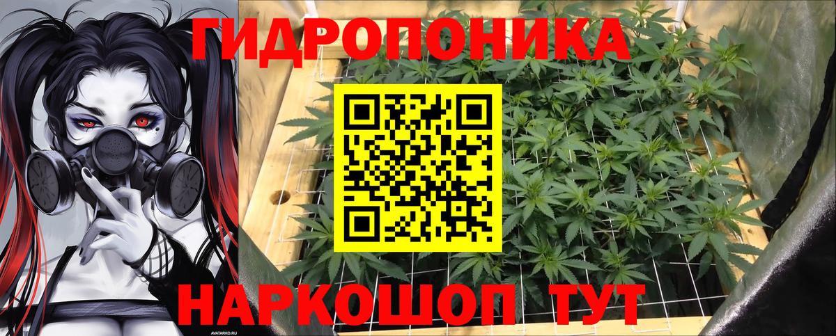 Шишки марихуана сатива  Вход с VPN  Асино  Марихуана марихуана  Каннабис конопля 